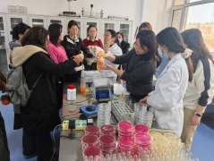  不竭提拔企业食物